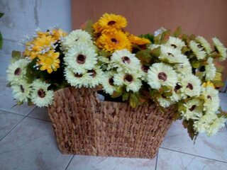 IMG_20191008_094836