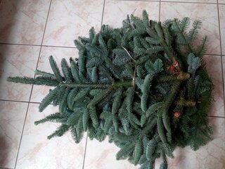 IMG_20191119_084917