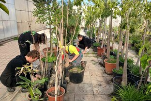 Zväčšiť fotografiu - Mobilita v španielsku