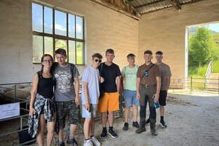 Zväčšiť fotografiu - Návšteva nákupného trhu baranov v liptovských revúcach