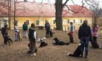 Popoludnie s K-9 training center