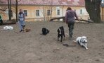 Popoludnie s K-9 training center