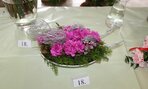 IMG_8968