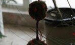 IMG_9027