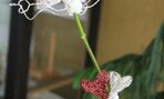 IMG_9036