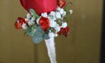 IMG_9044
