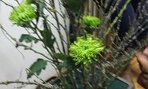 20161020_114254