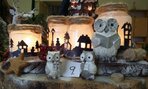 20161220_113138