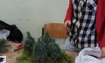 20161220_103717
