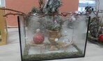 IMG_20171214_133902