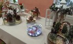 IMG_20171214_134034