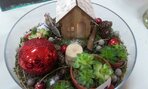 IMG_20171214_134712