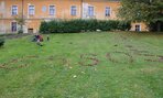 Dsc 5378