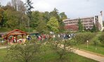 DSC_5401