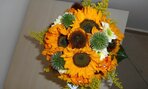 DSCN0023