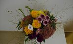 DSCN0049