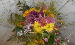 DSCN0050