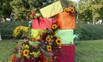 DSCN0089
