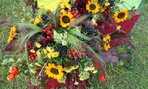DSCN0091