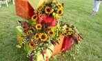DSCN0092
