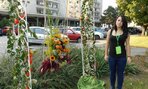 DSCN0094