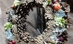 20181024_111600_resized