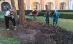 IMG_20151123_103702
