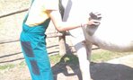 IMG_20160510_102414