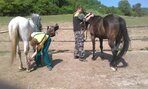 IMG_20160510_103419
