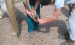 IMG_20160510_104229