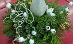 IMG-20221116-WA0003