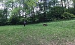 IMG_5415