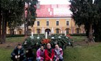 IMG_20141126_094534
