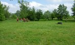branne 2014.05.28 1673