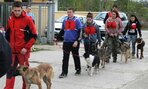 8.Správanie sa psa na verejnosti