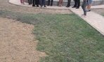 44478150_2163257837220279_1055777629363240960_n