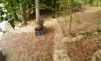 DSCF7703