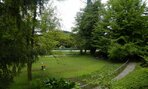 DSCF7711