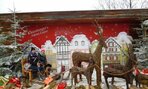 na exkurzii v  Kittenbergerských záhradách