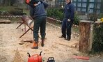 20161124_090020