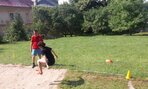 20190627_094017(0)
