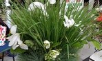 20160429_105815