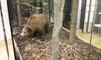 20160407_131305