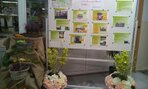 IMG_20161021_084652