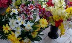 IMG_20190919_132140