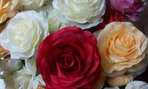 IMG_20190923_081036