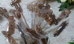 IMG_20191008_091433