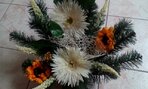 IMG_20191008_091633