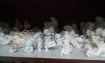 IMG_20191008_092029