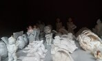 IMG_20191008_092058